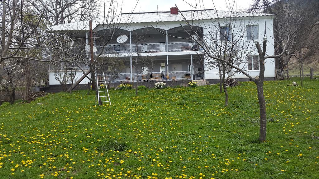 Guest House Vivaushba Bagvdanari Exteriör bild
